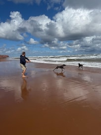 Cousin’s beach