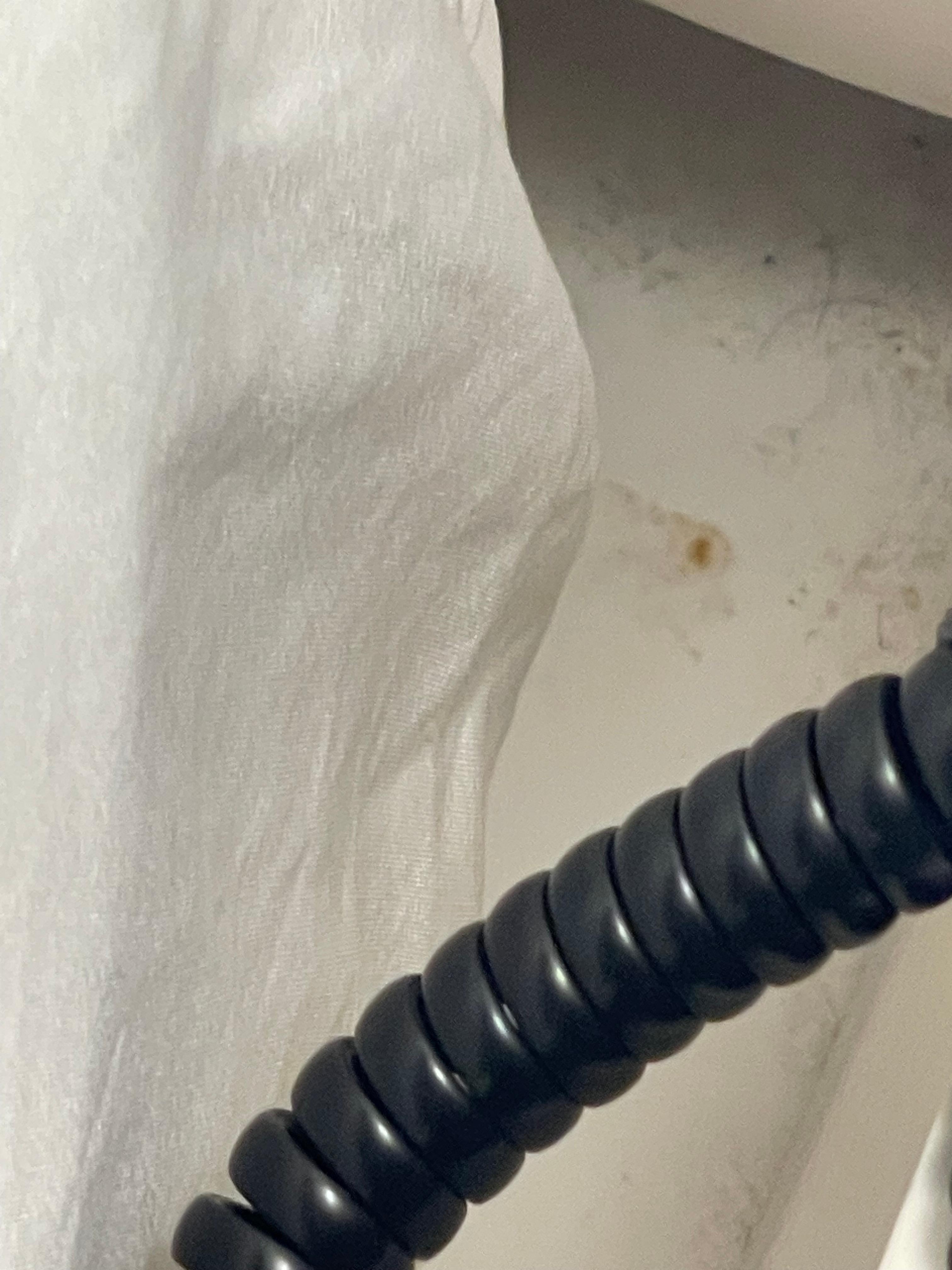 Bed platform full of hair, dirt and what appears to be mold . 