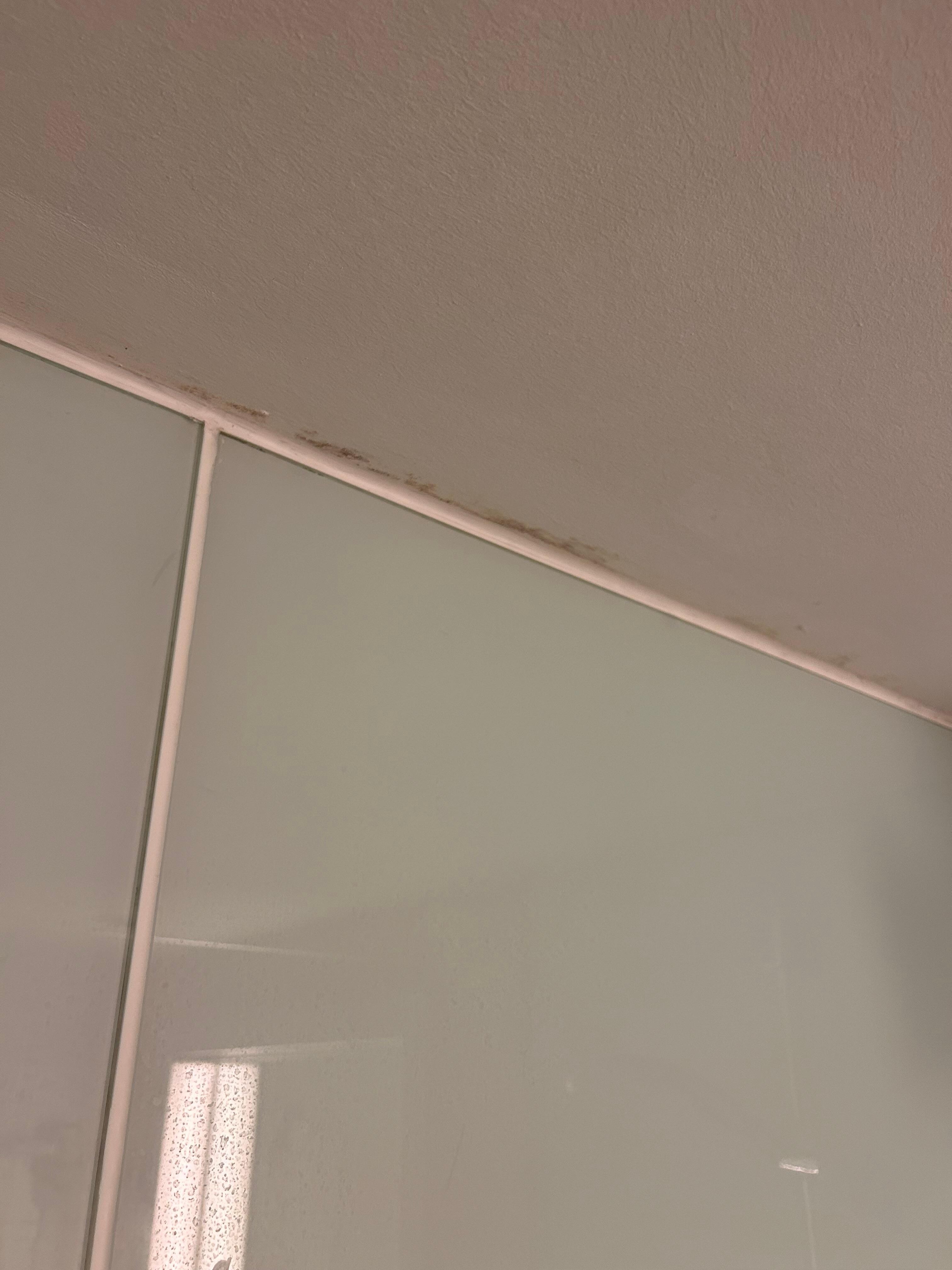 Mug på væg og loft i badeværelset