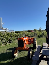 A local vineyard we visited by bike.