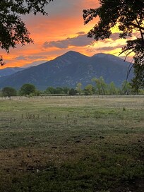 View across the pasture.