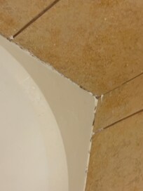 Mold on bath tub