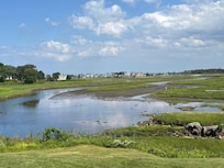 View of bird sanctuary behind Inn.