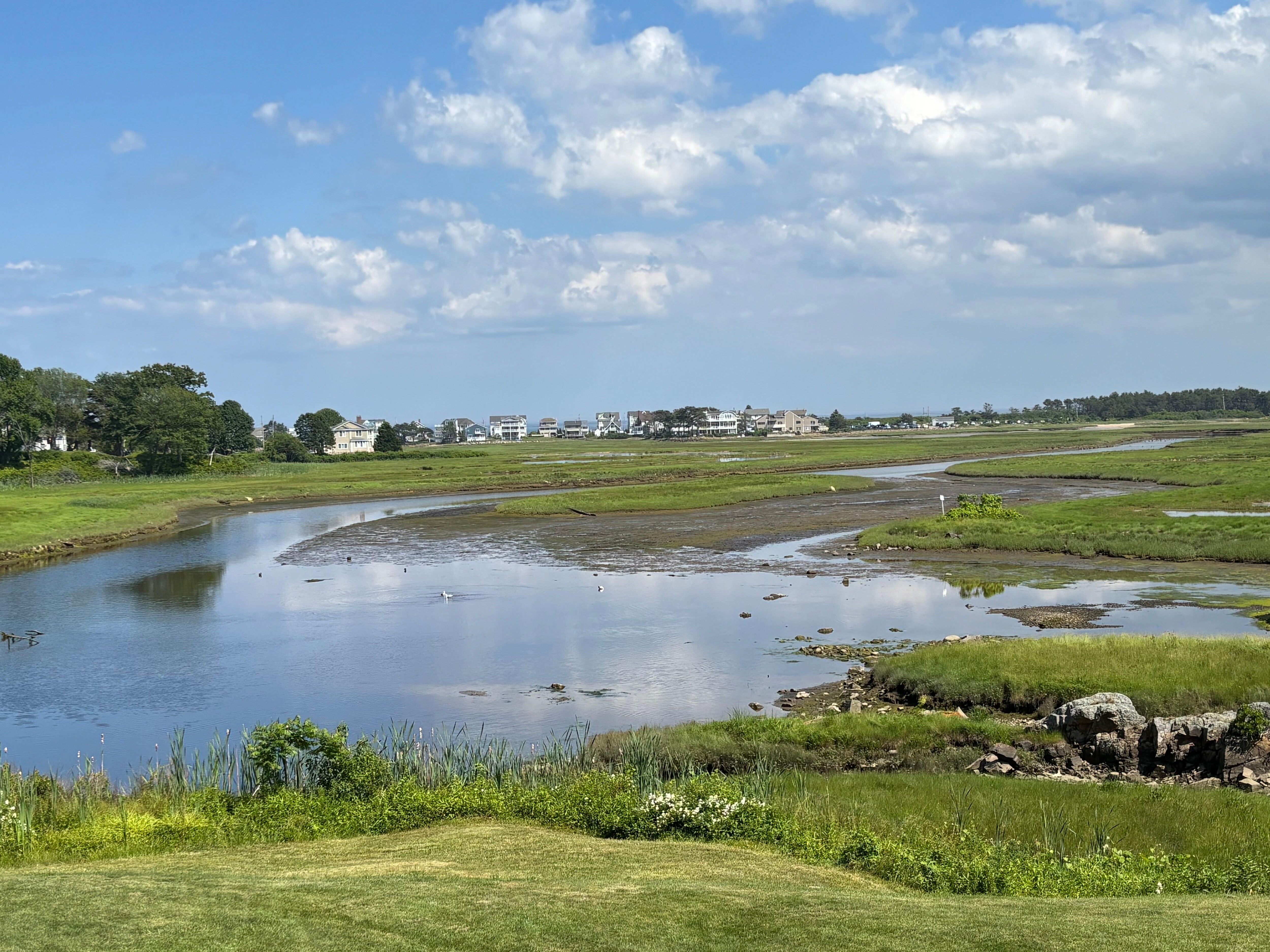 View of bird sanctuary behind Inn.