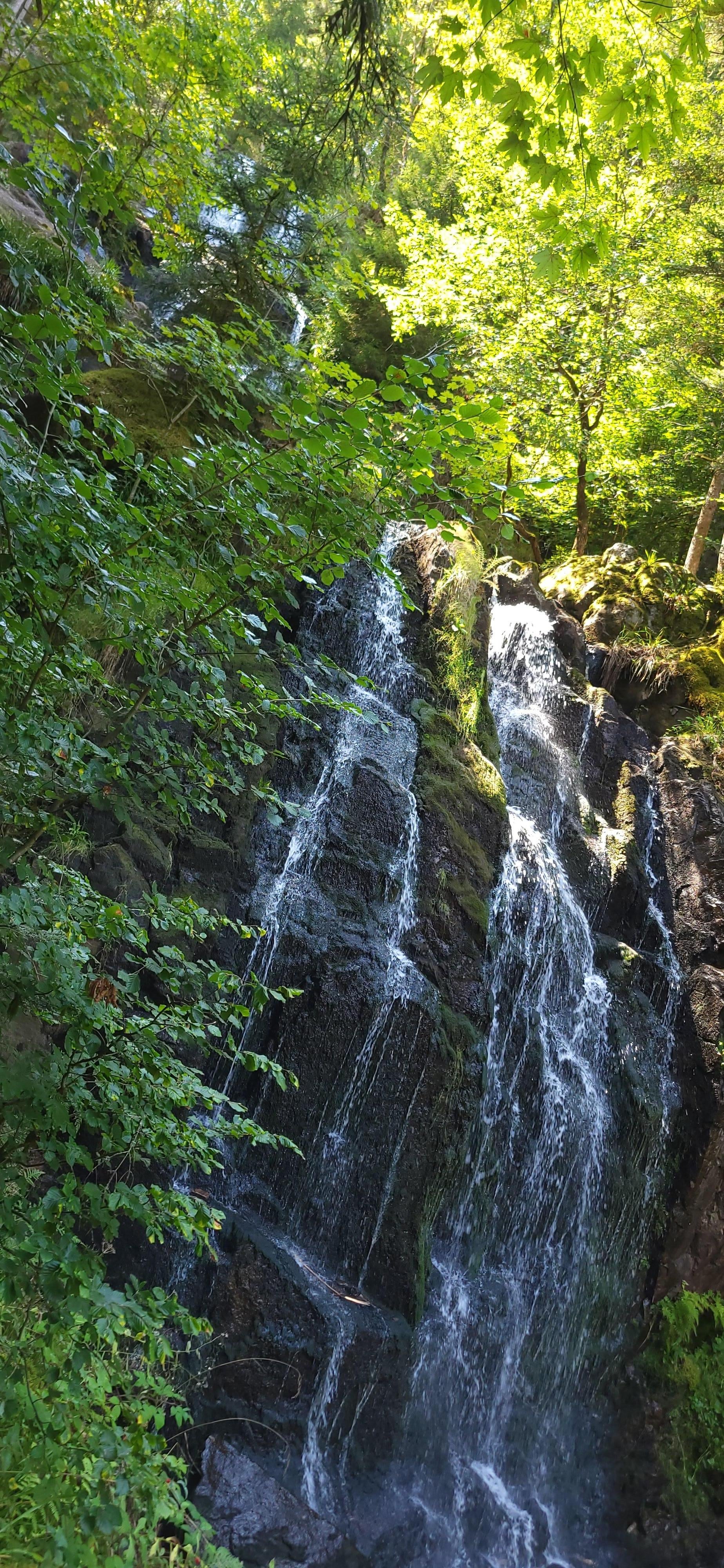 Grande cascade de tendon