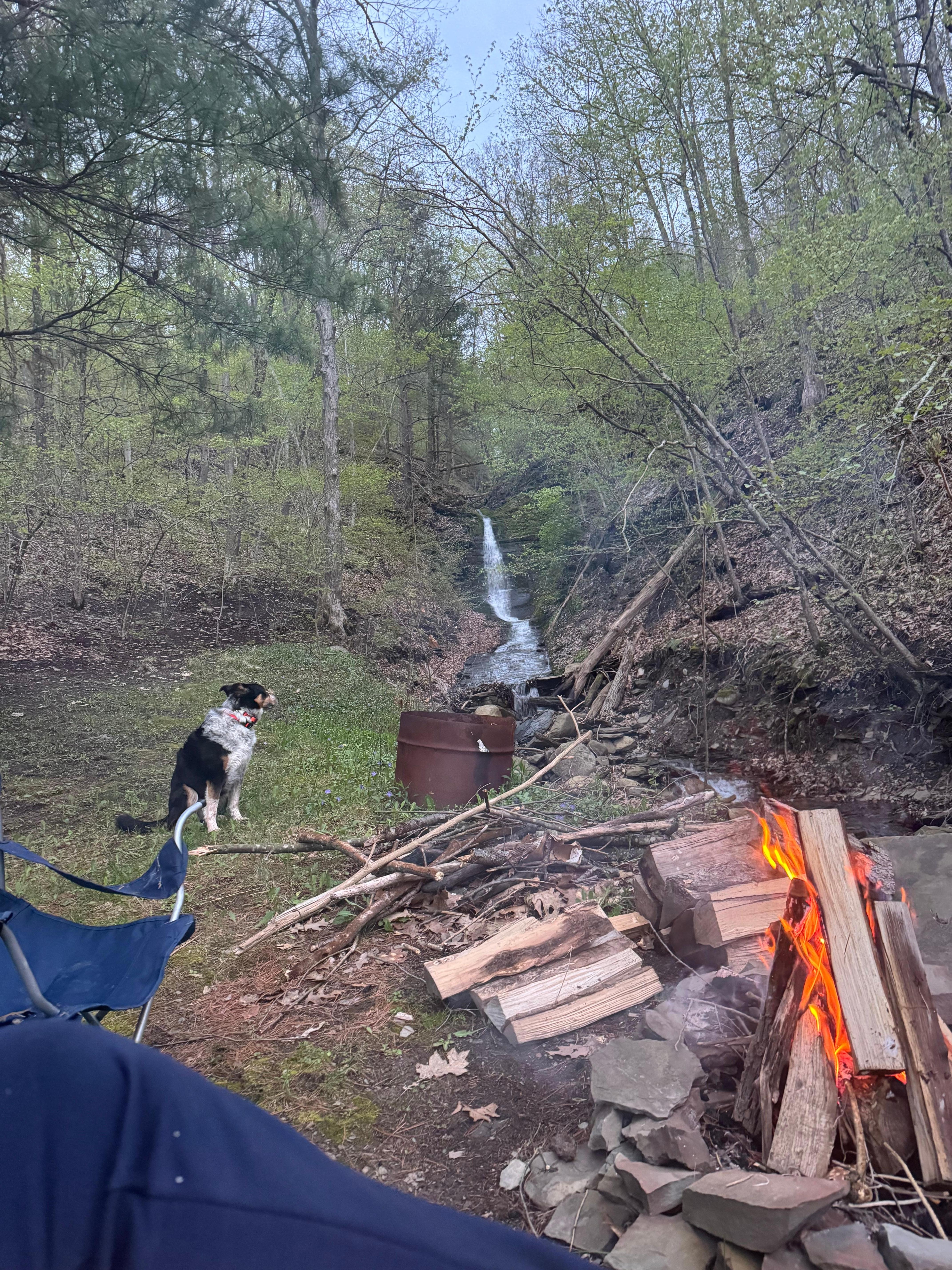 The waterfall in the back is so peaceful and beautiful!