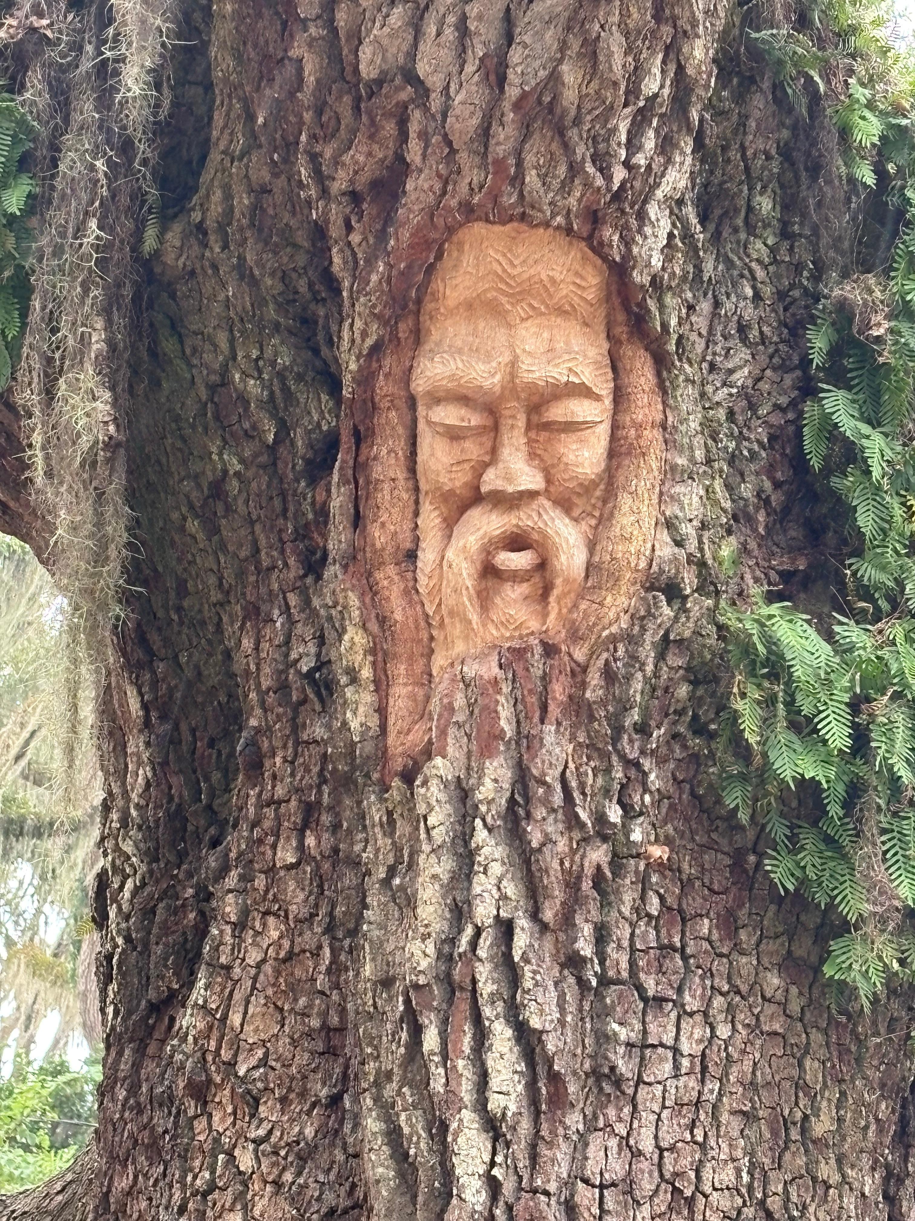 Tree spirits scavenger hunt 