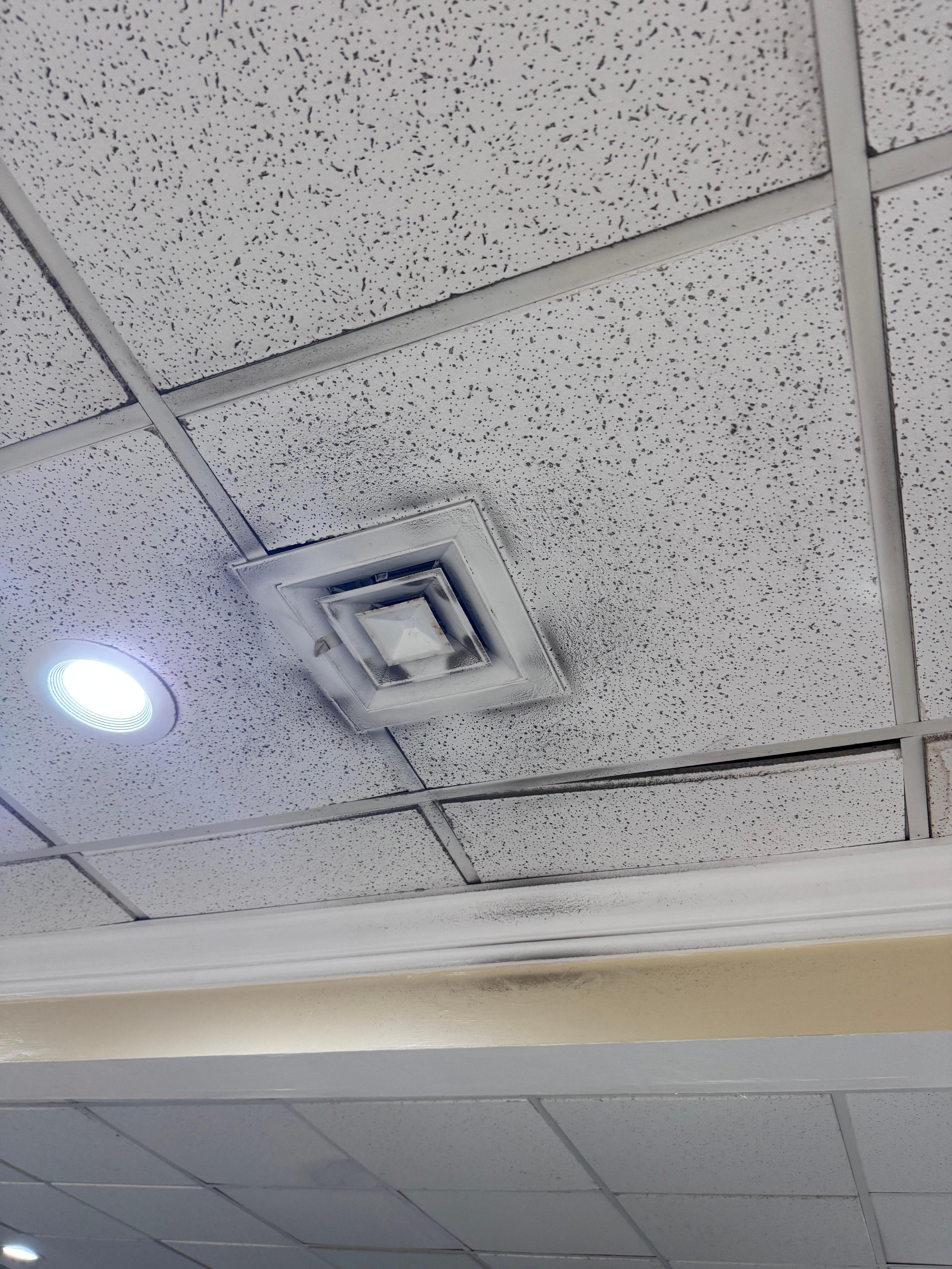 Looks like black mold all the air vents had this