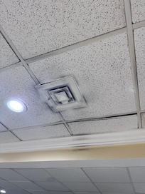 Looks like black mold all the air vents had this