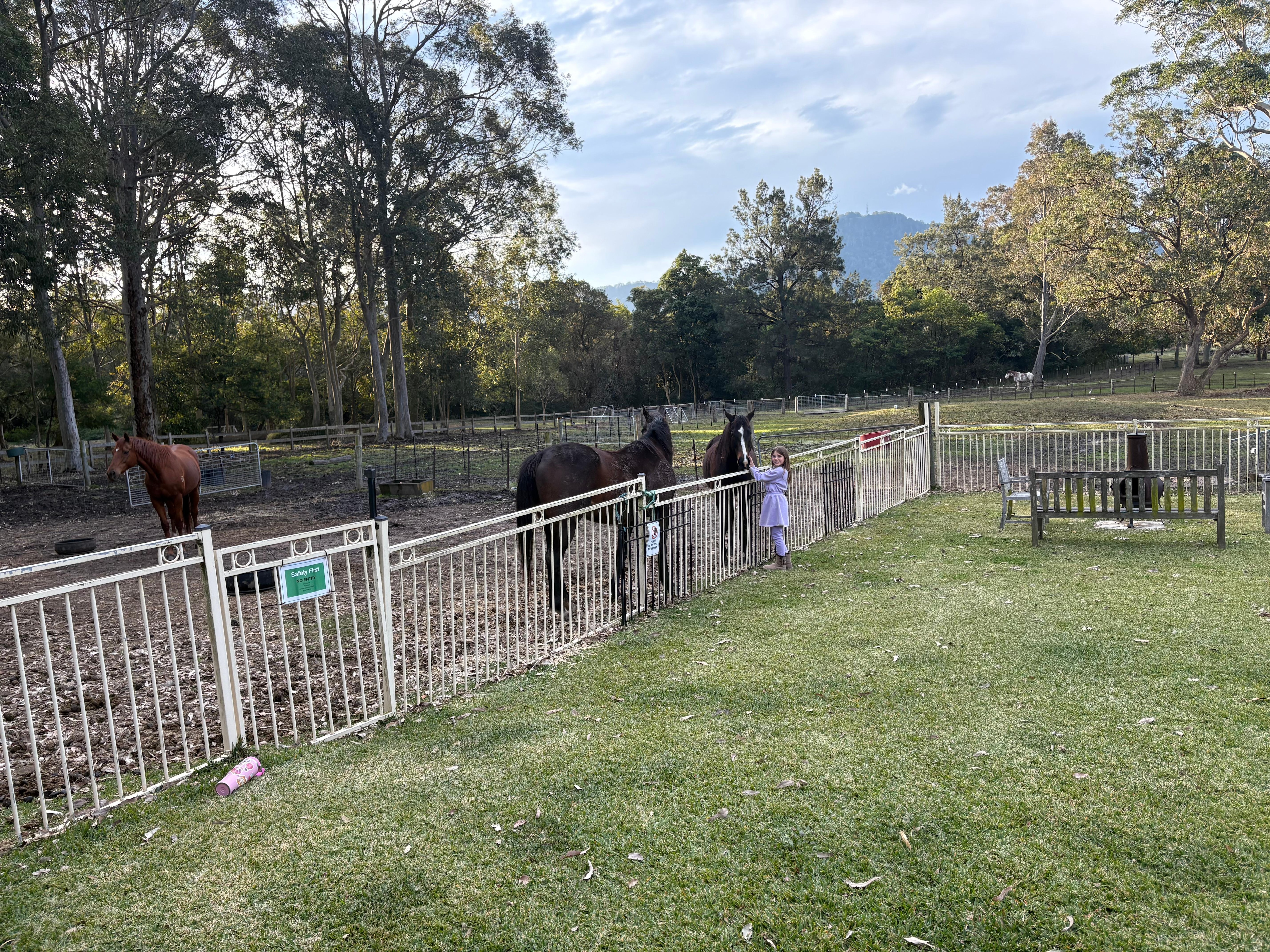 Just out from the guesthouse are the horses stables. 