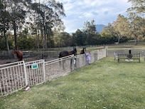 Just out from the guesthouse are the horses stables.