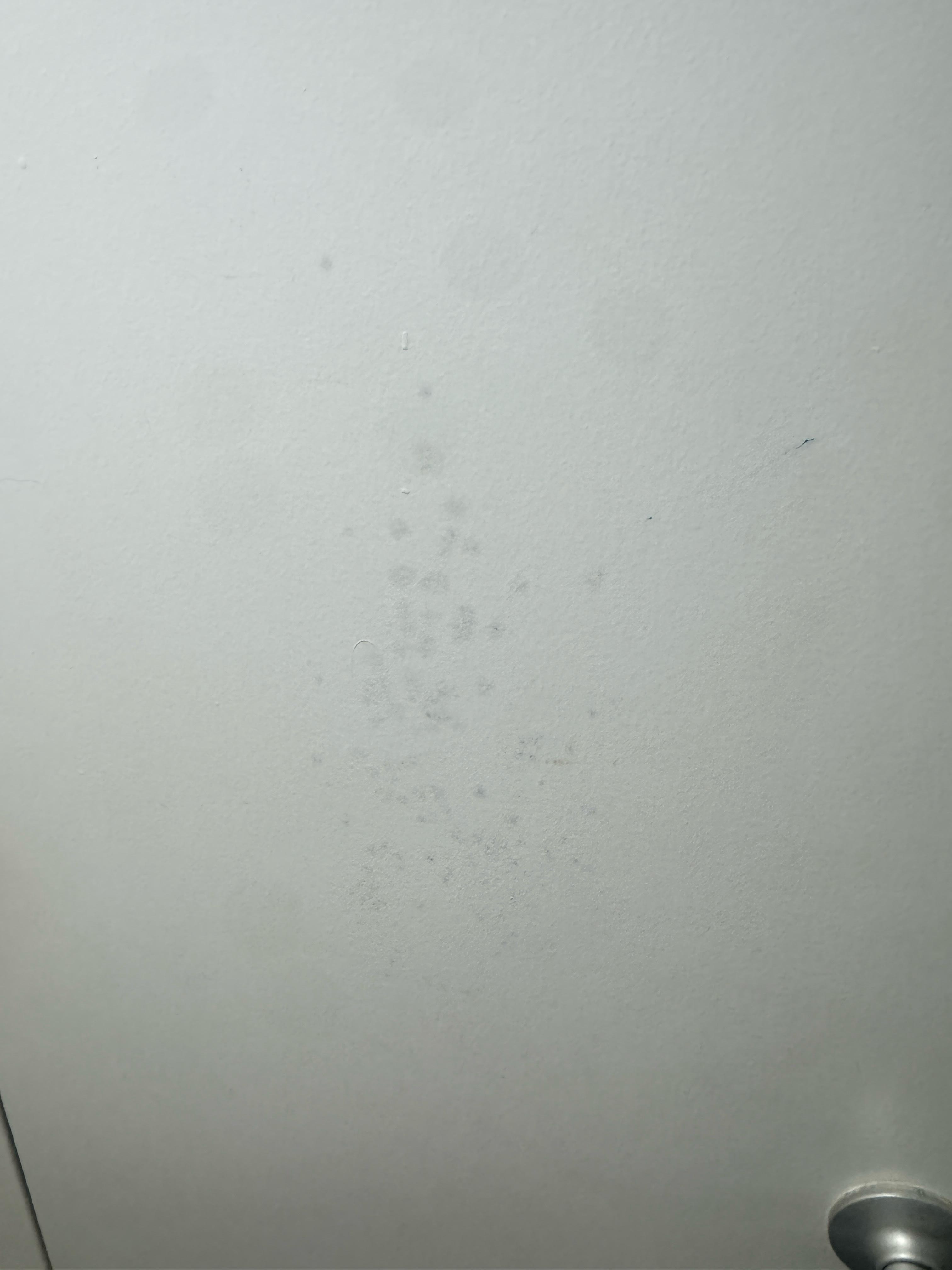 Mold on the bathroom door
