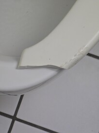 The broken toliet seat they claim isnt broken