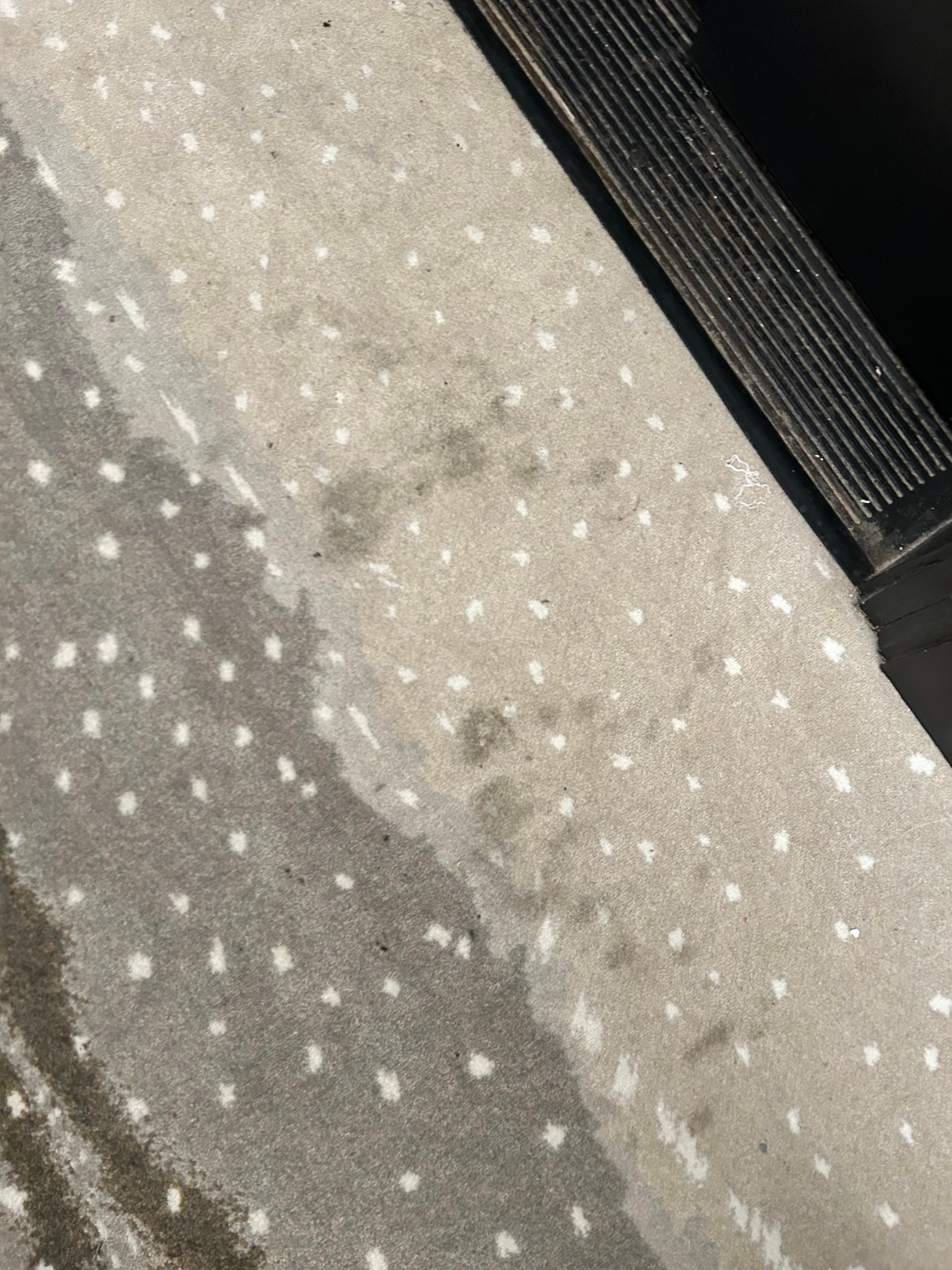 Stained carpets in hallways