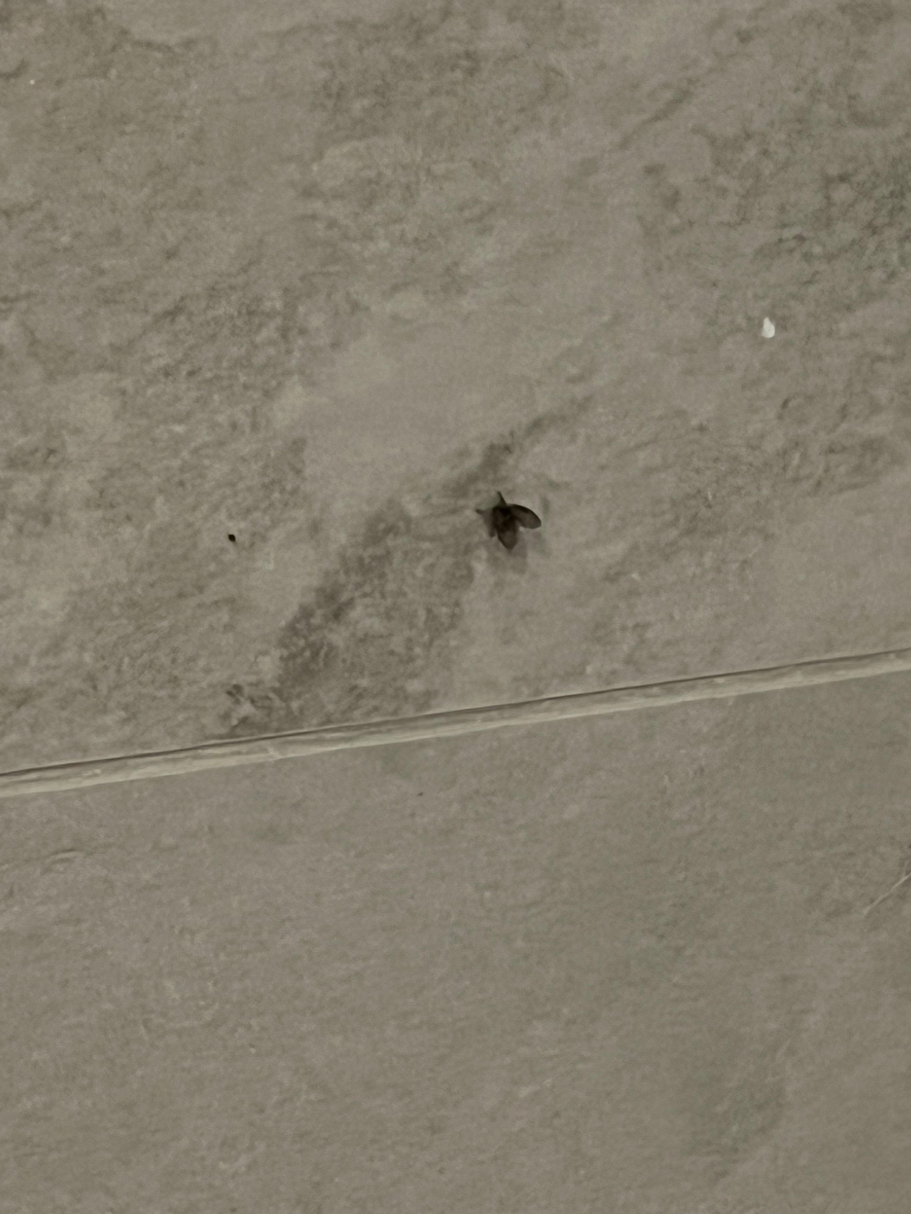 整個廁所有很多⋯⋯