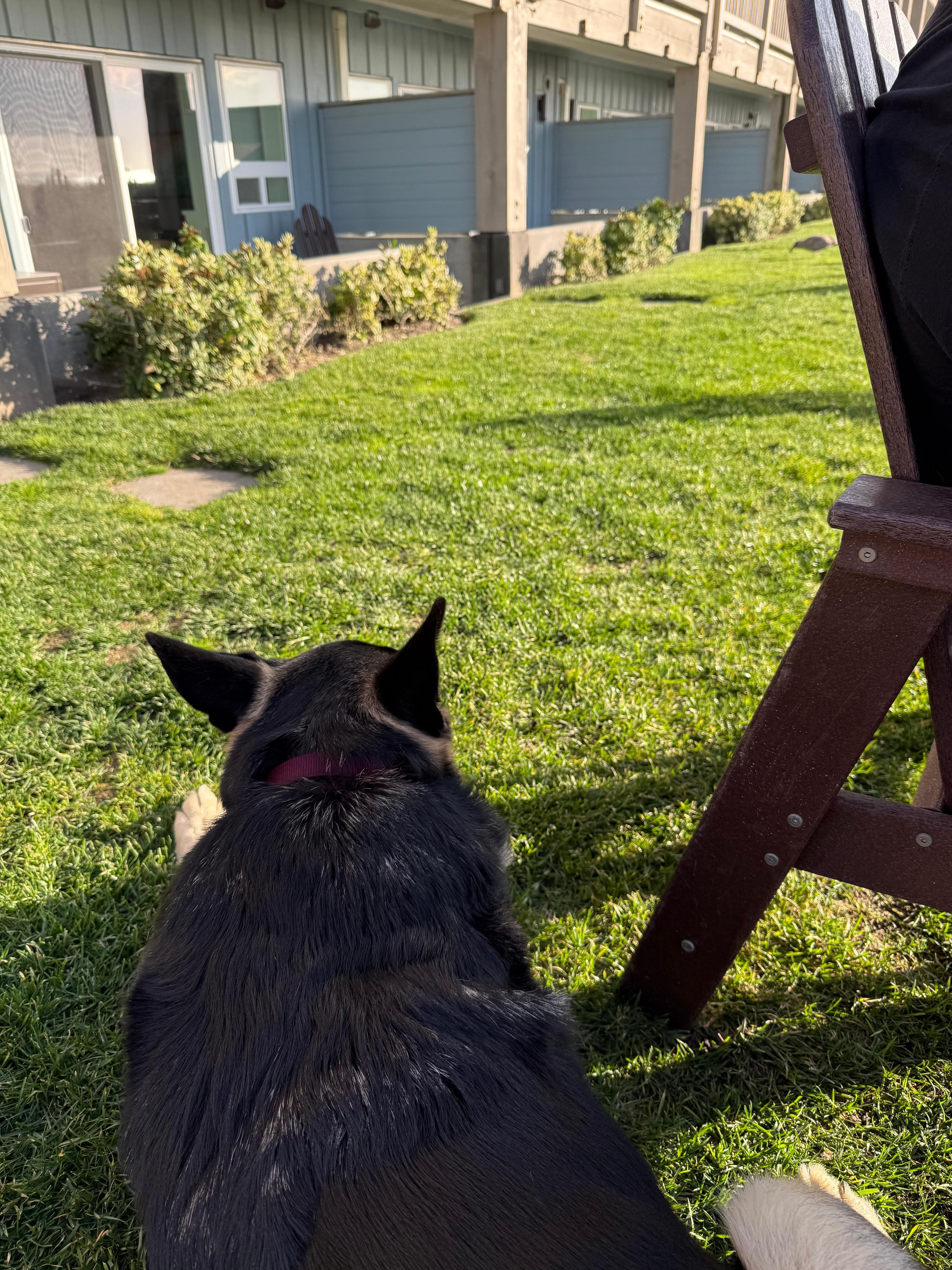 Looking back at hotel