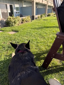 Looking back at hotel