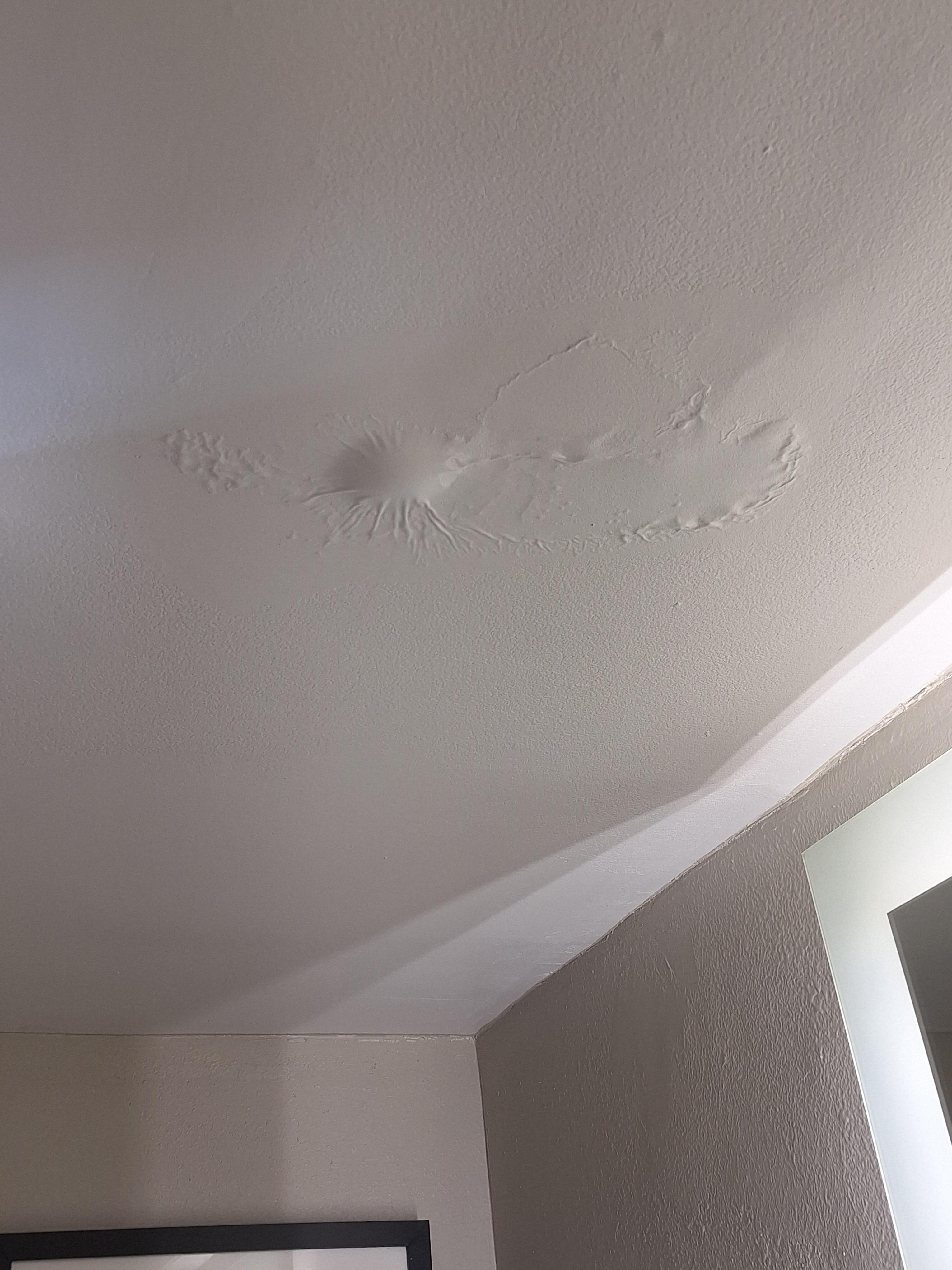 The bathroom had water leaking into a large mass on the ceiling