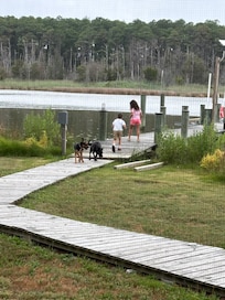Playing on the dock.