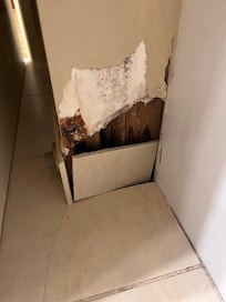 1st bathroom wall. You can clearly see the mold.