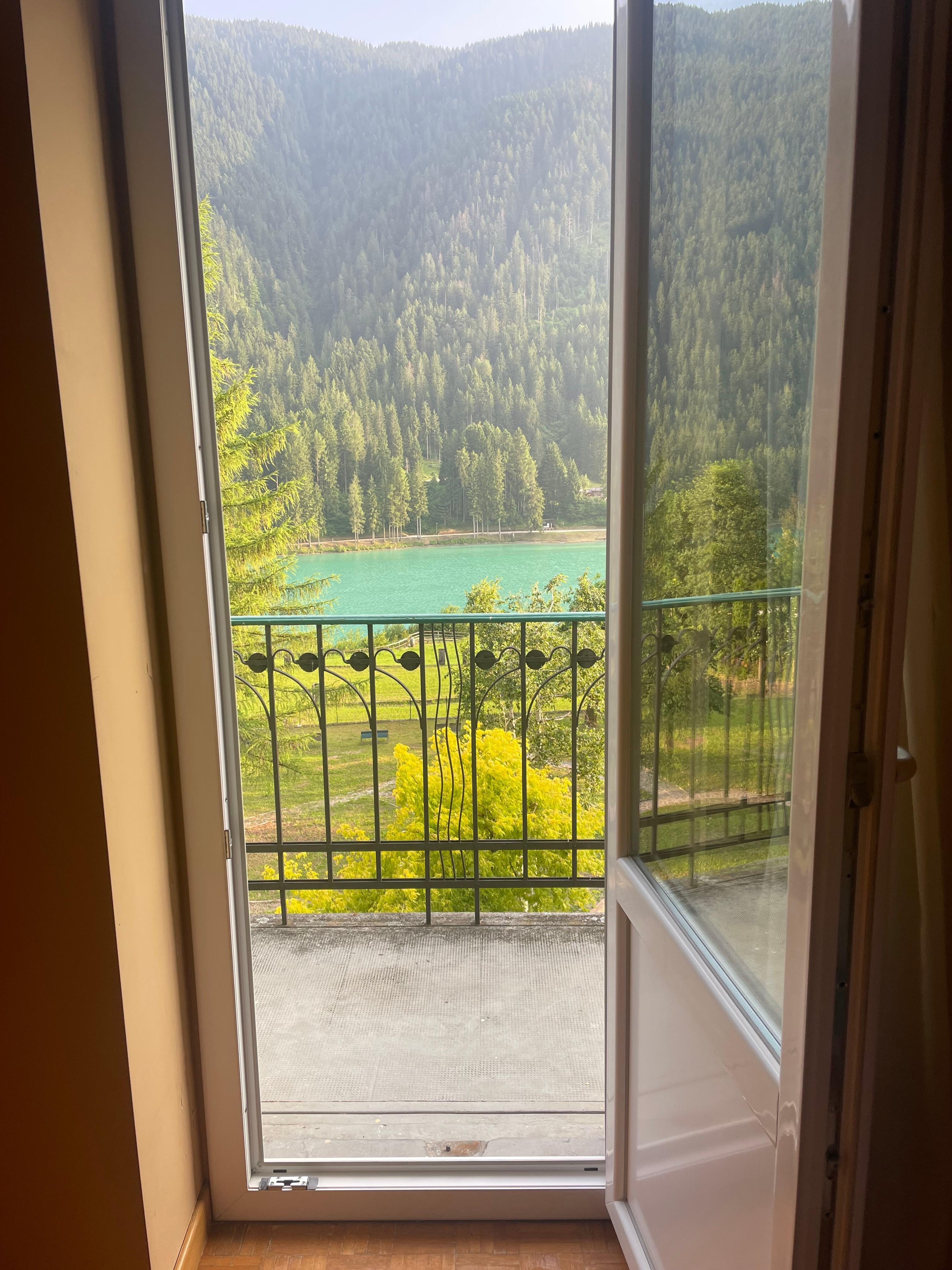Room with a view