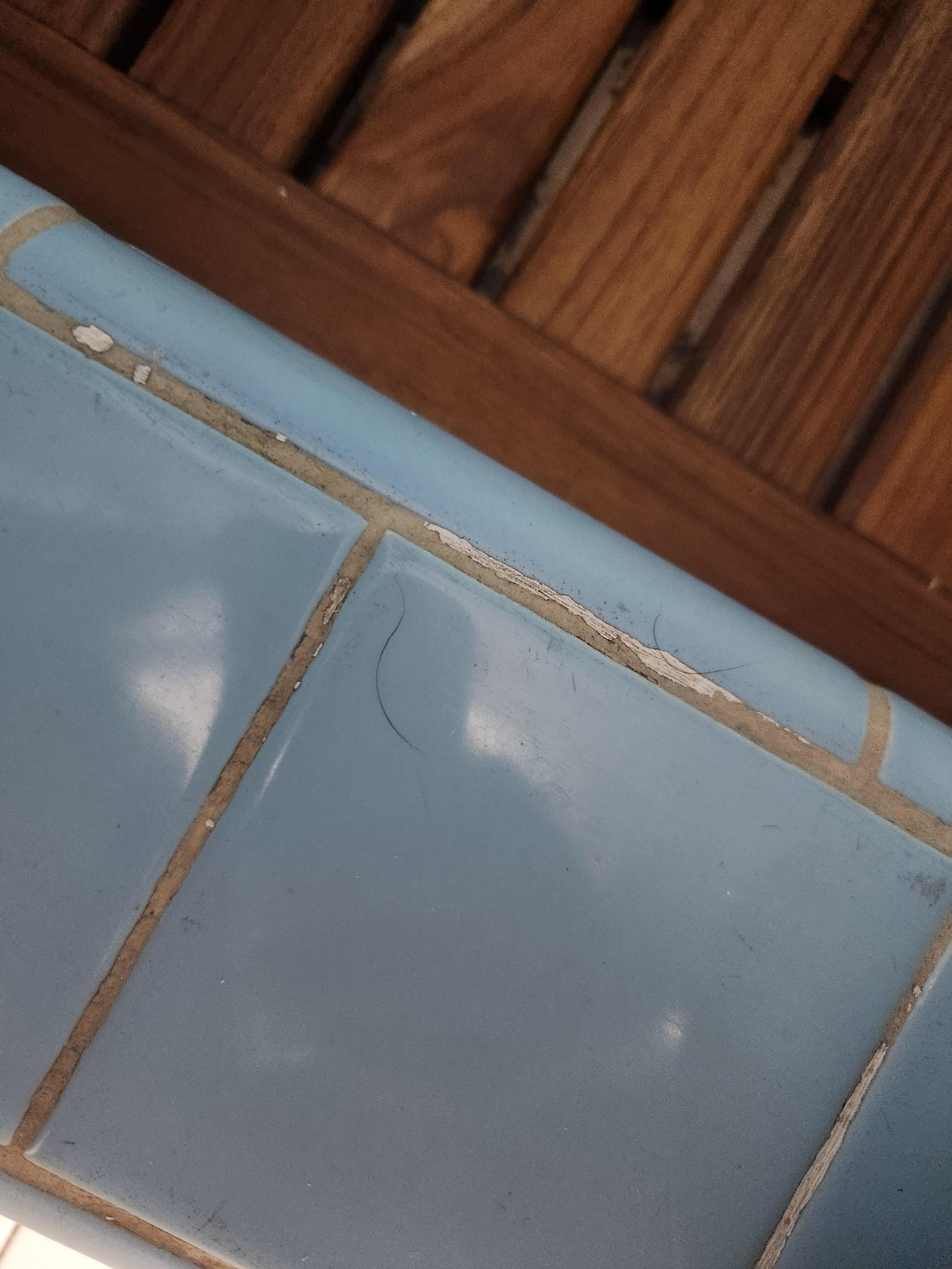 Small hairs on the shower floor. We didnt even touch the shower. 