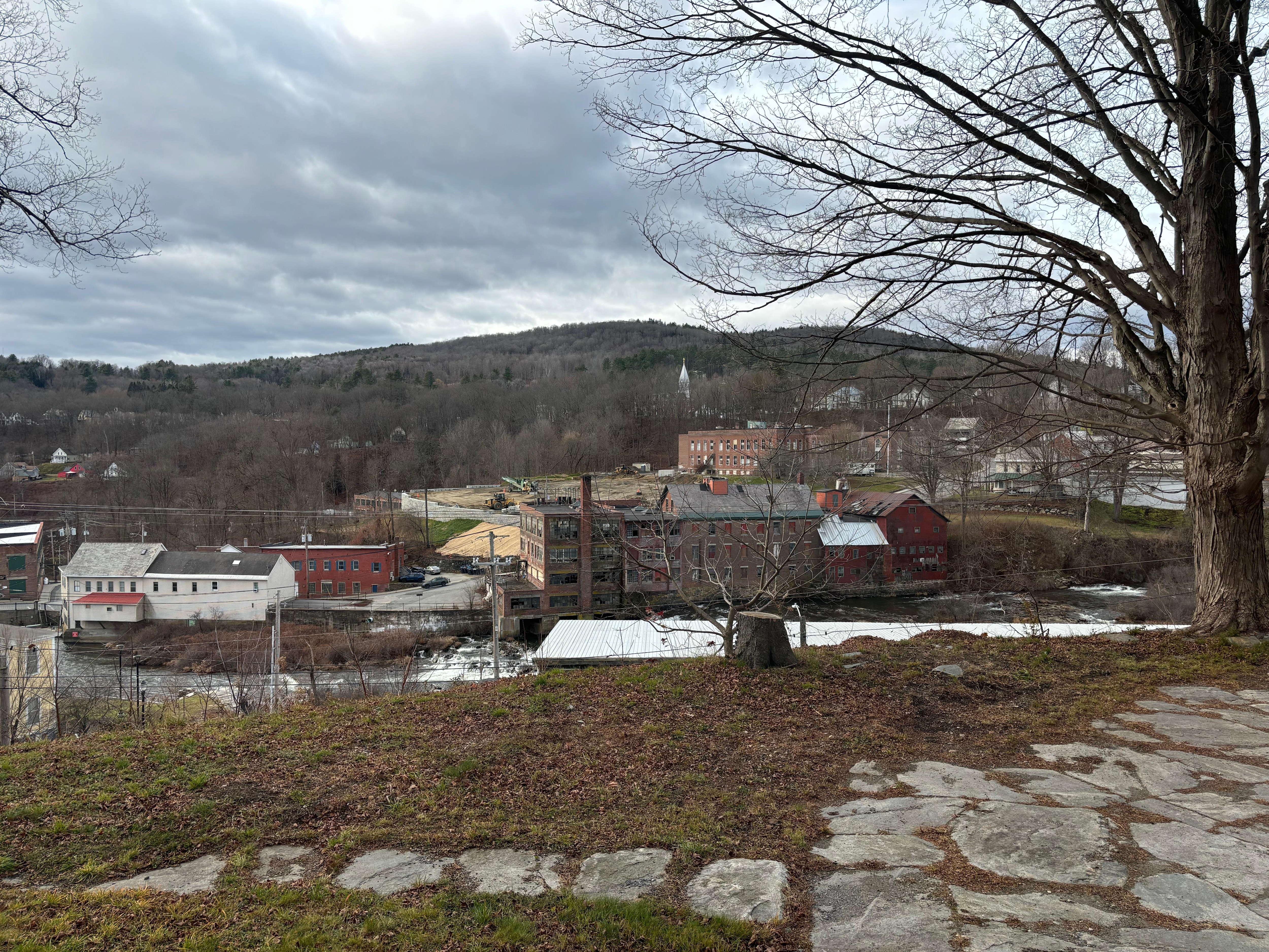 View from the living room!