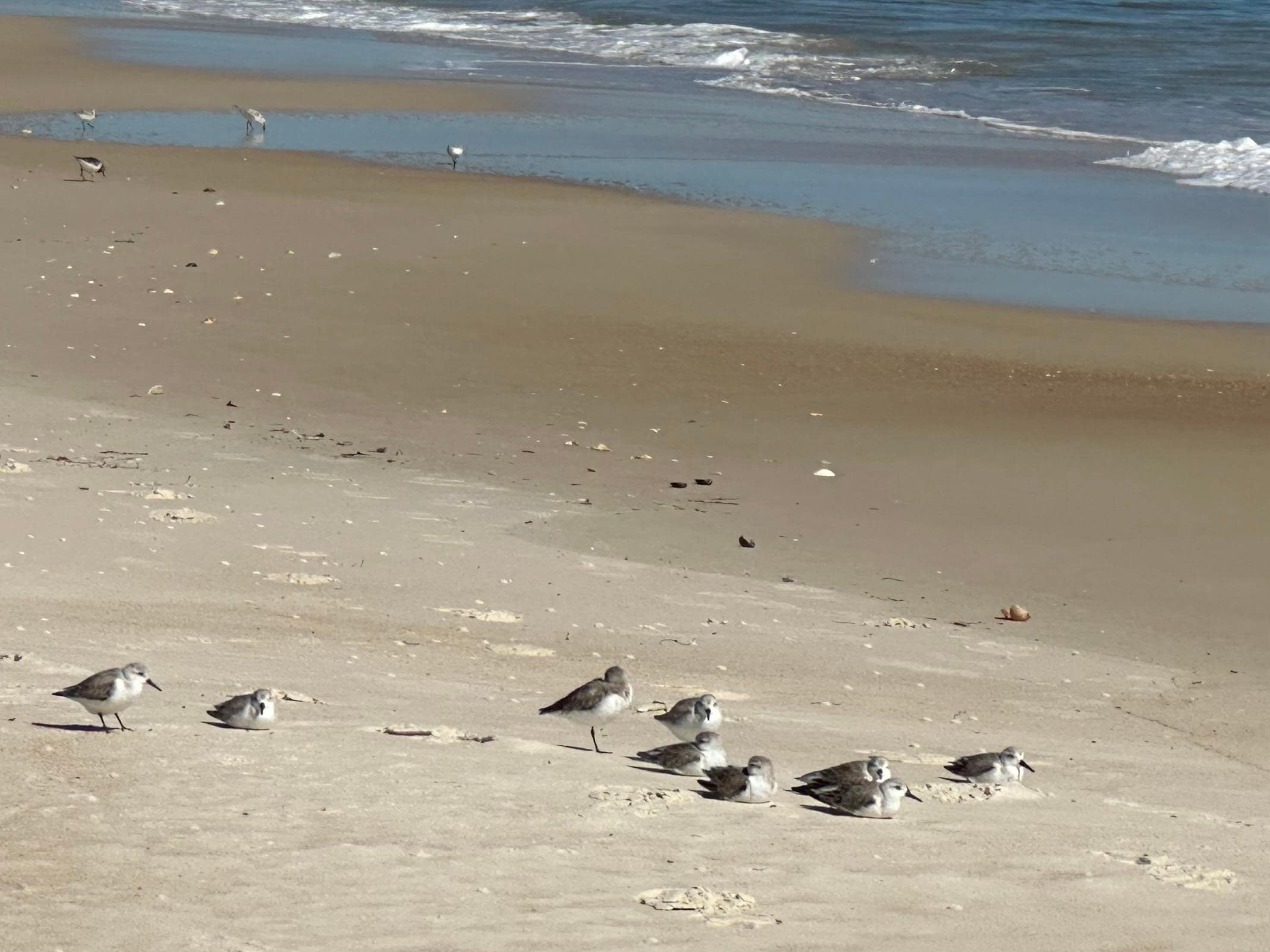 A walk on the beach. 