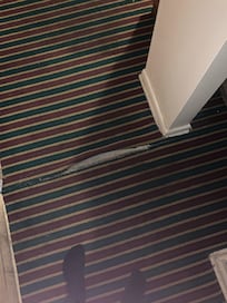 carpet torn up