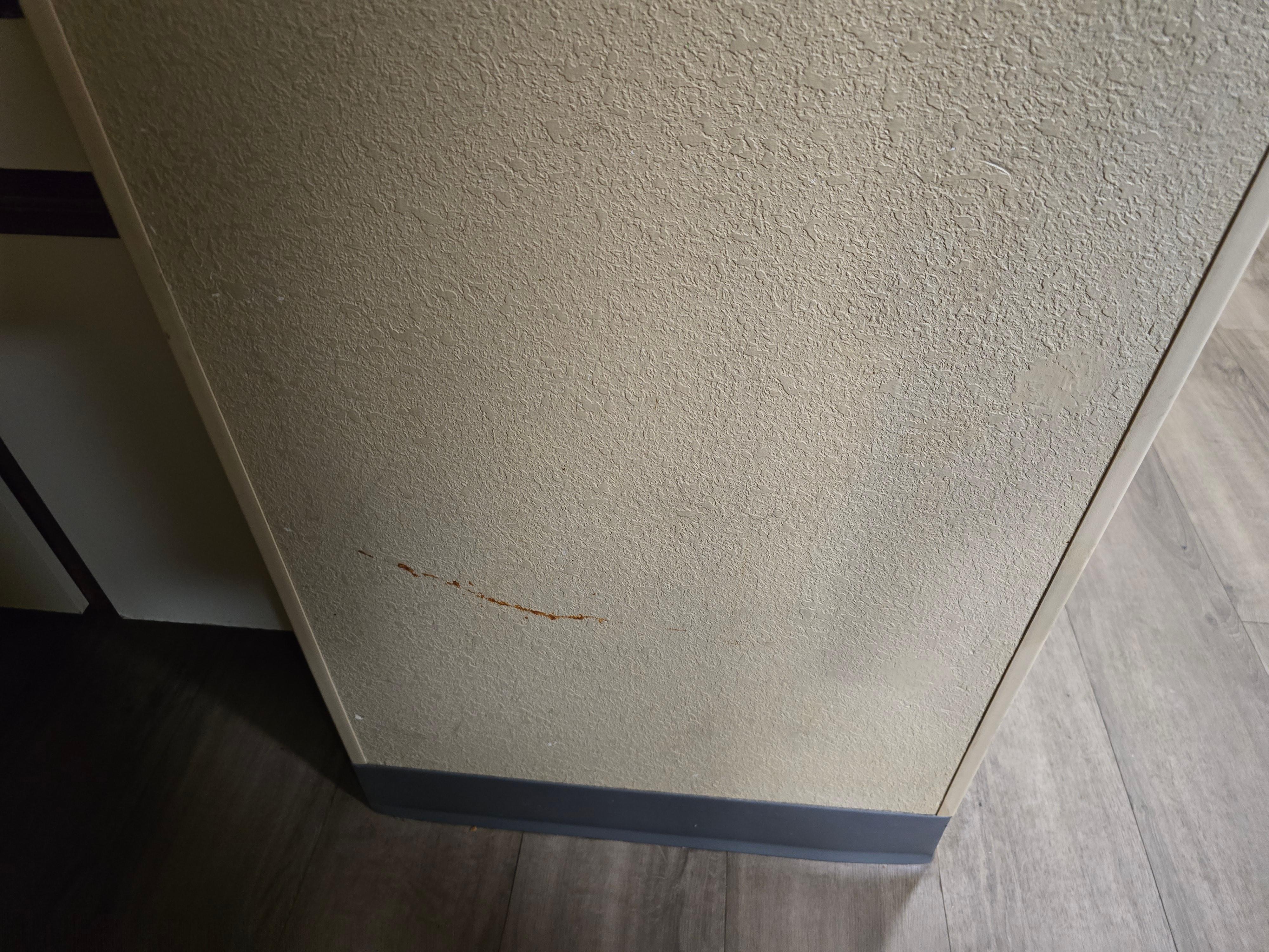 Food on kitchen wall