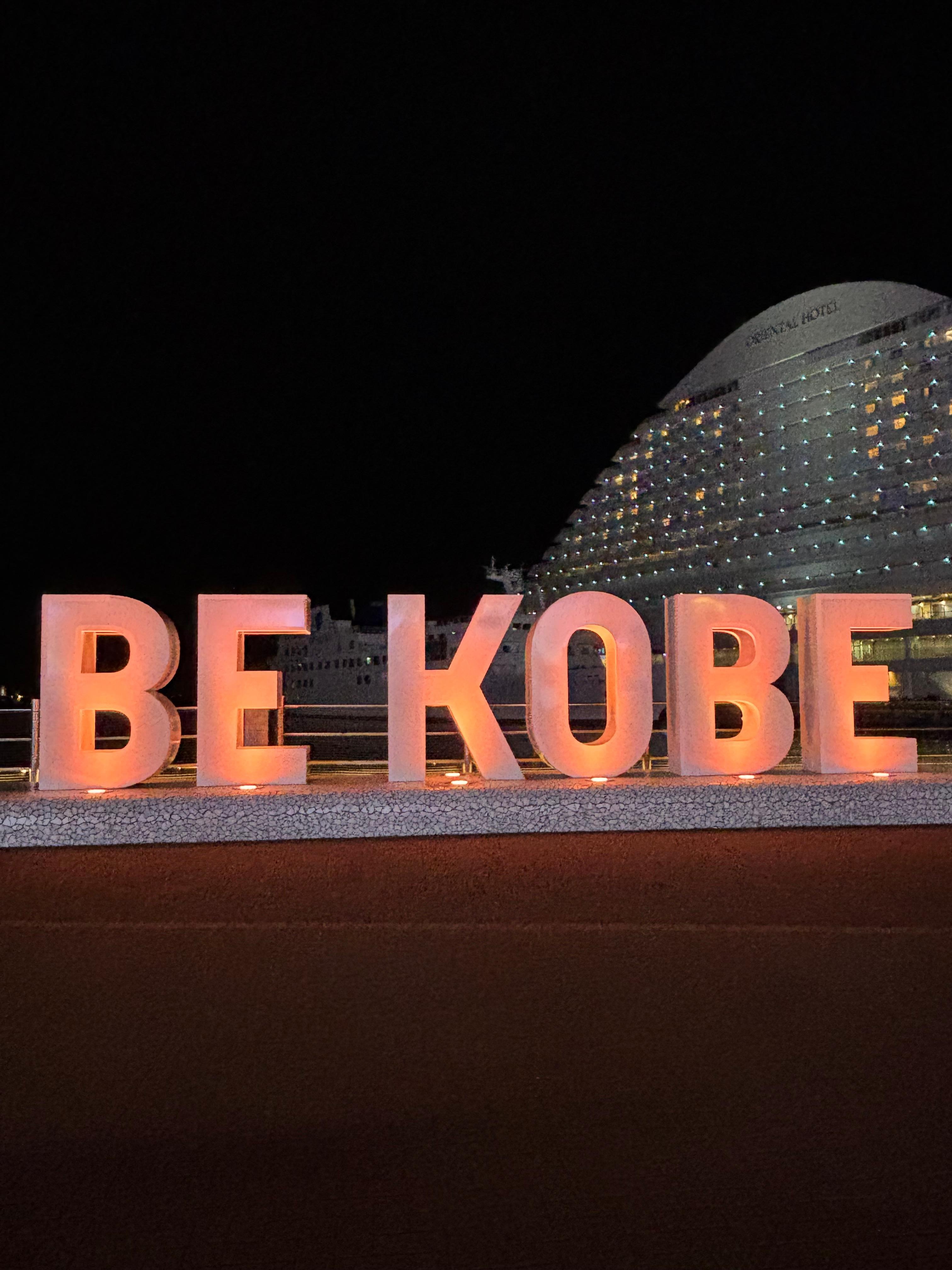 毎年恒例最高に癒されるルミナリエ