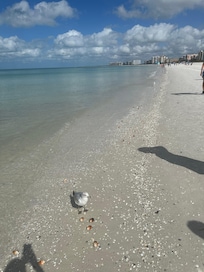 Walking the beach was so wonderful and our adult kids loved how many amazing shells and sand dollars they found!