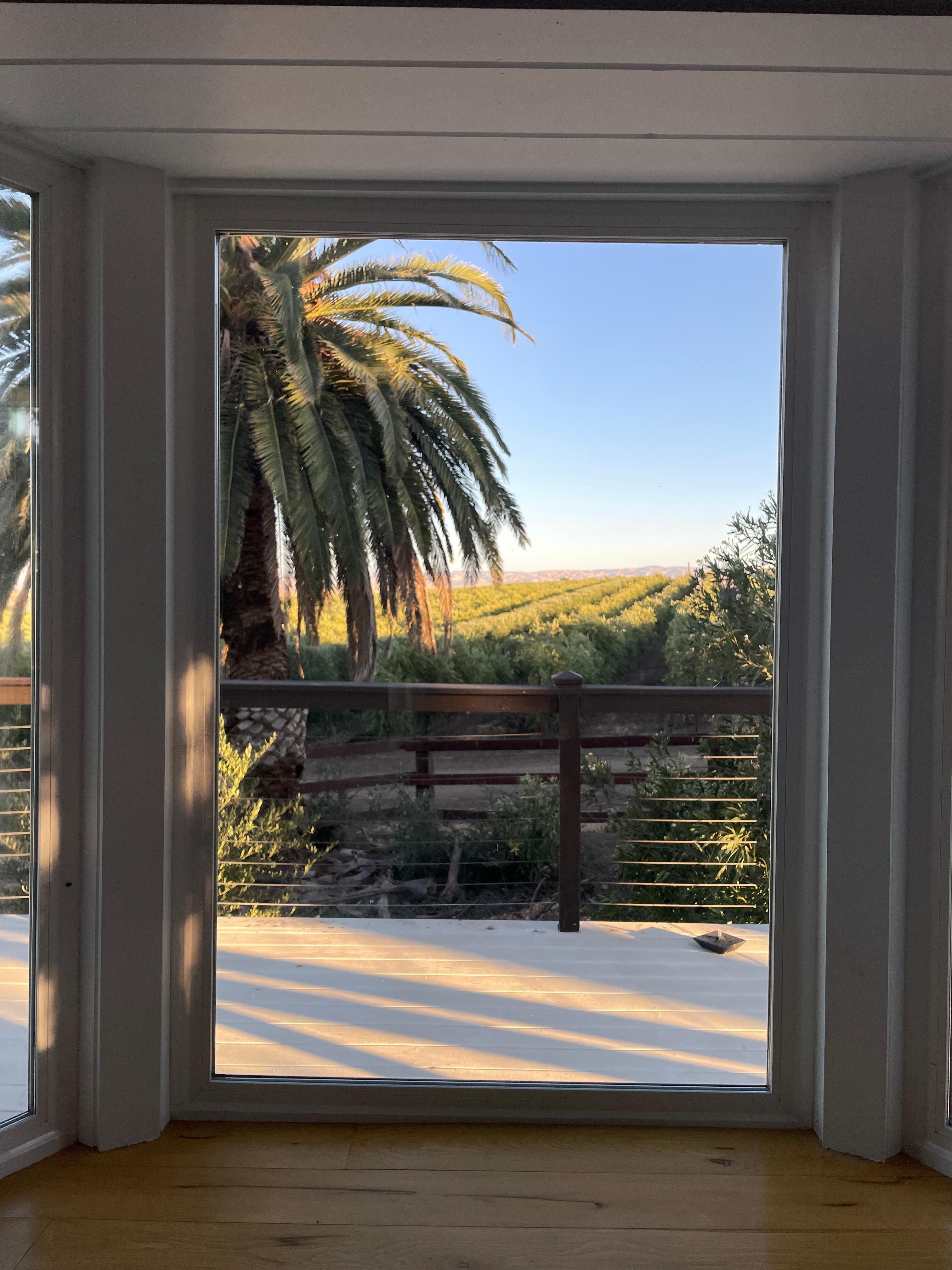 orchard view from inside the house
