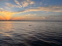 Sunrise with a dolphin feeding near the dock.