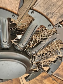 Birds nest in the fans on the front porch as well as the back porch! Imagine this flying at your guest when the fan was turned on! Who would have thought to check for a nest??