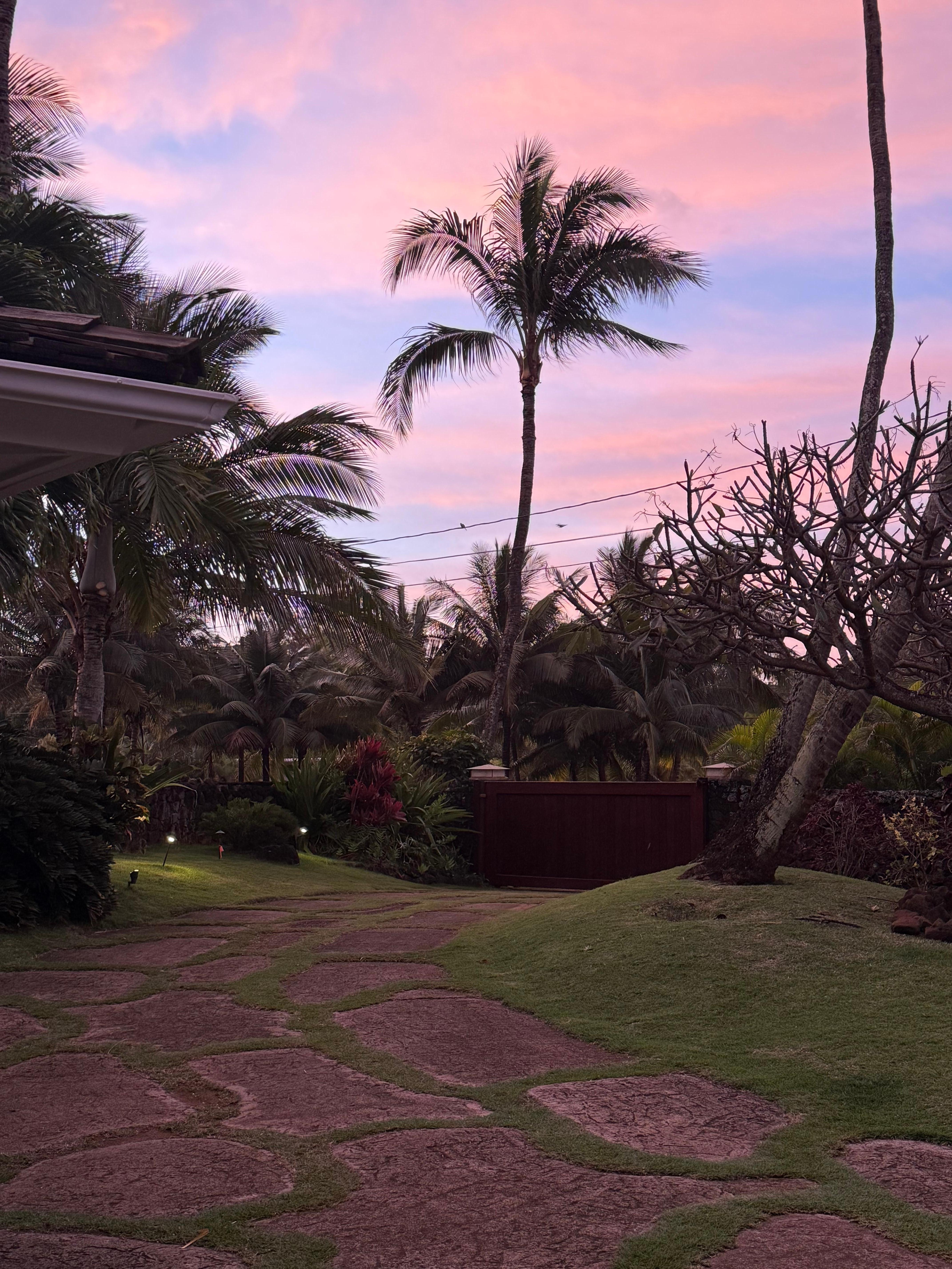 Morning front yard skies