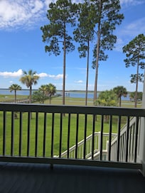 View from the back porch