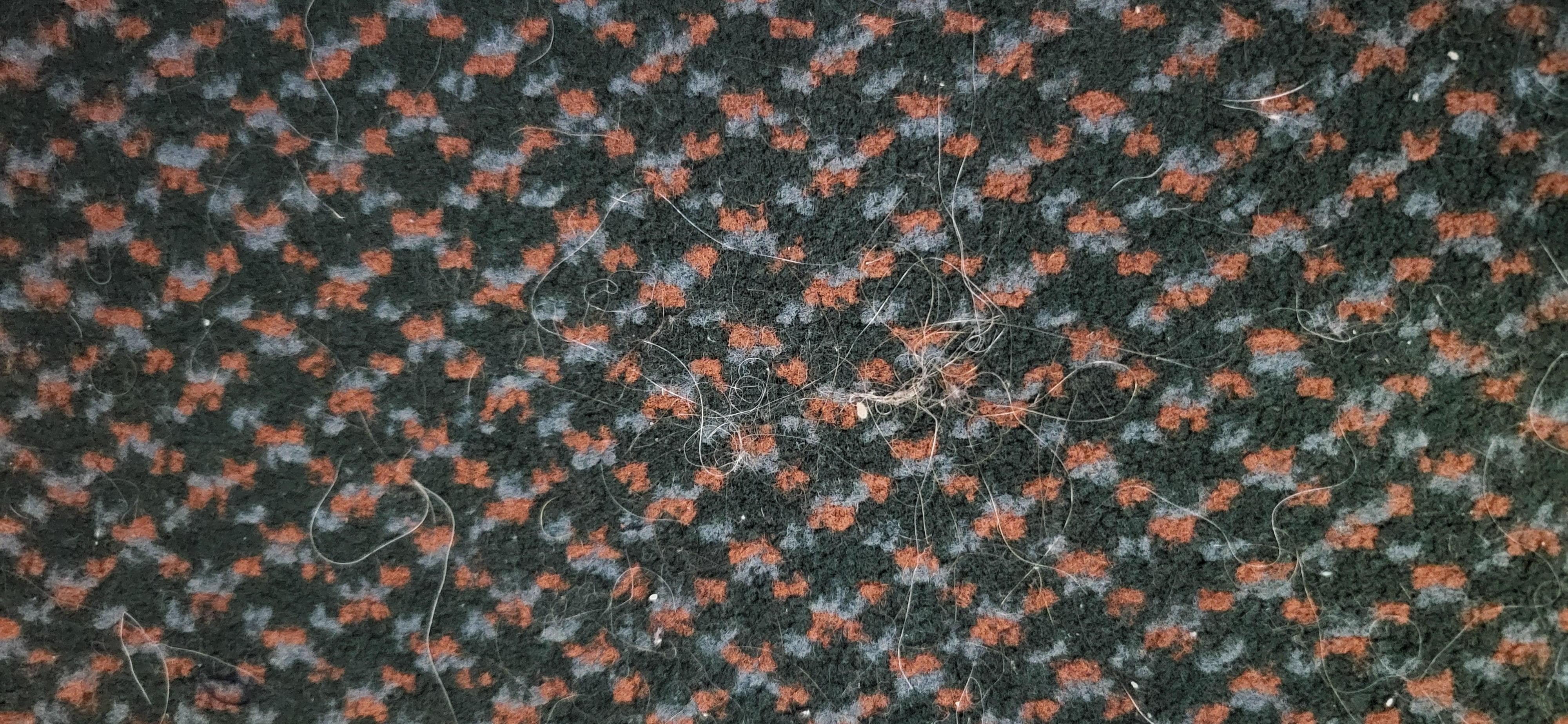 Carpet full of hairs