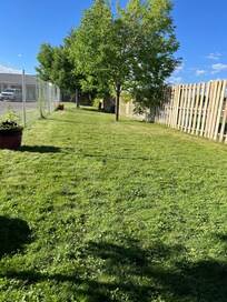 One end of the dog park