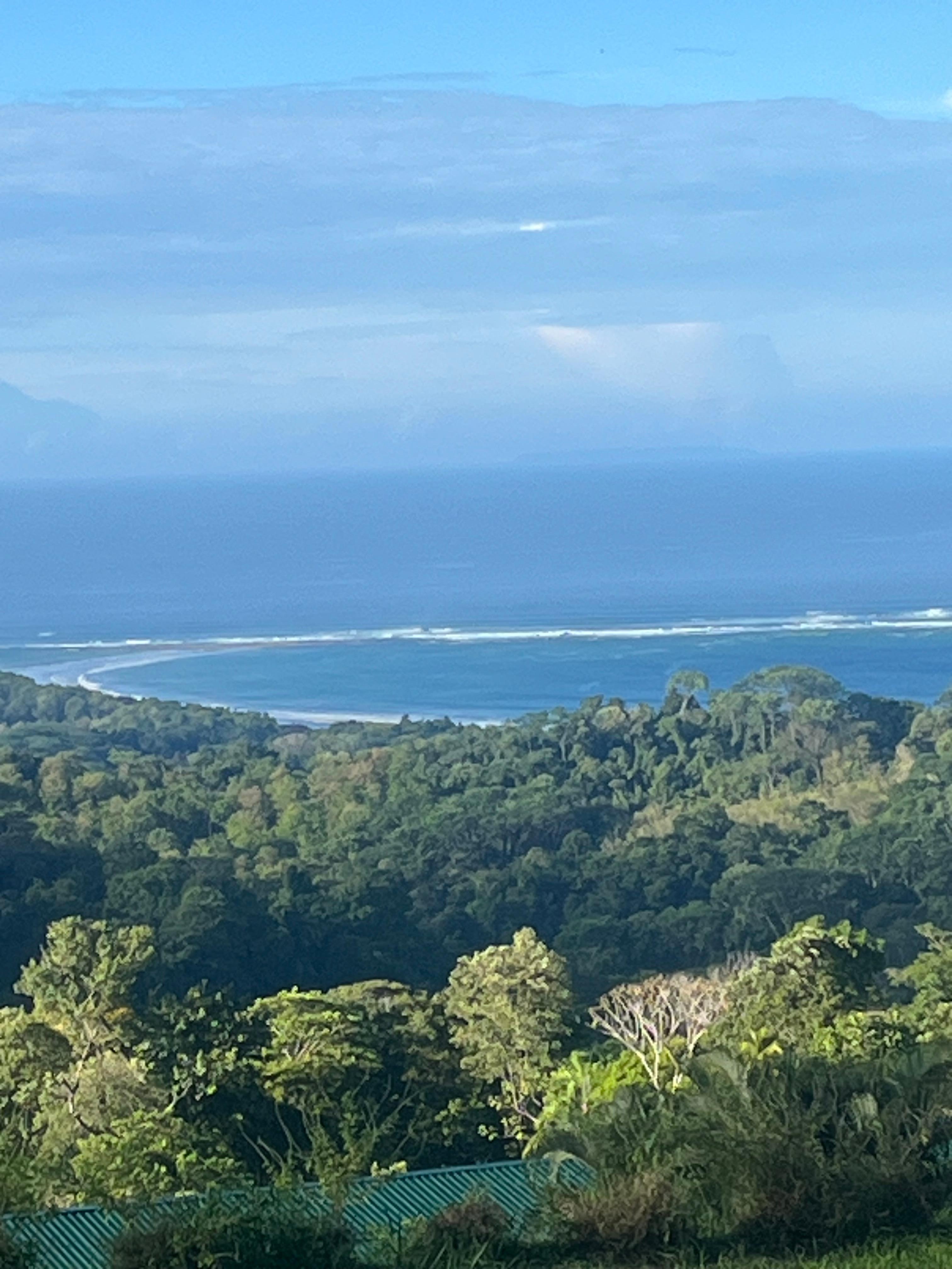 View from the patio