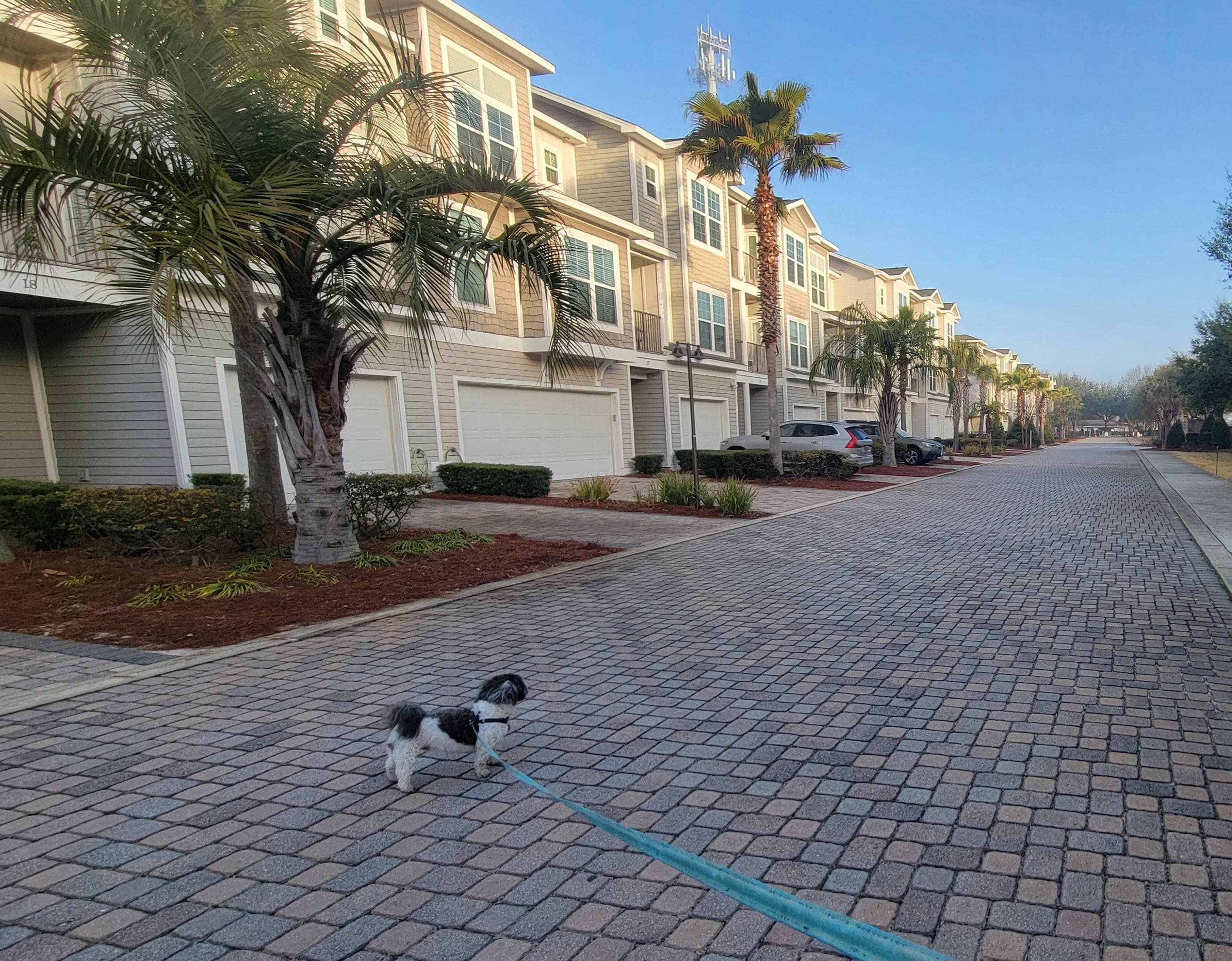 Dog friendly property