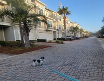 Dog friendly property