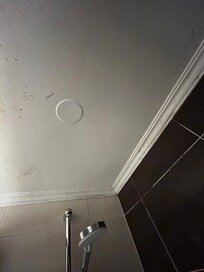 Mould in the shower