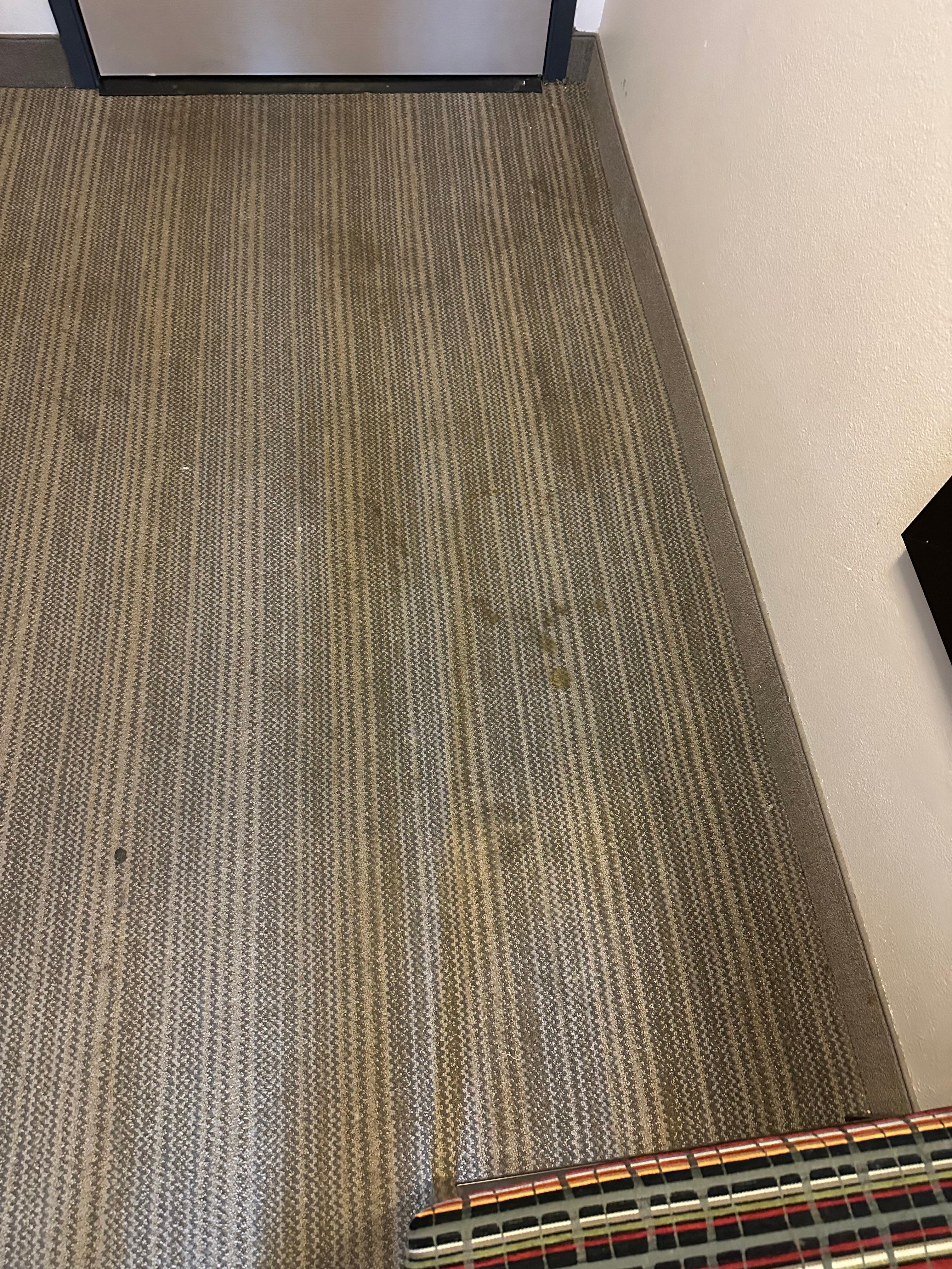 Stains all over floor 