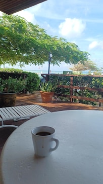 Morning coffee facing south.