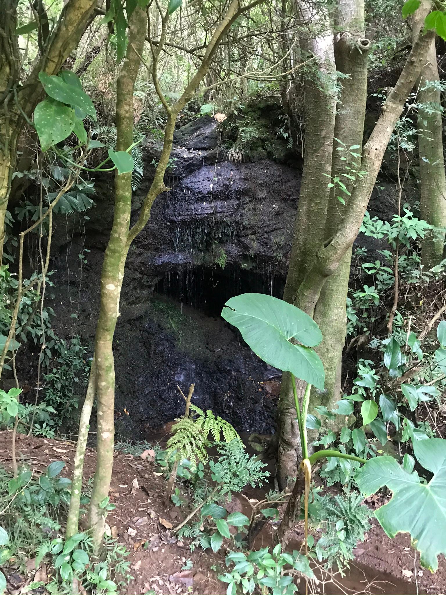 On site waterfall and cave