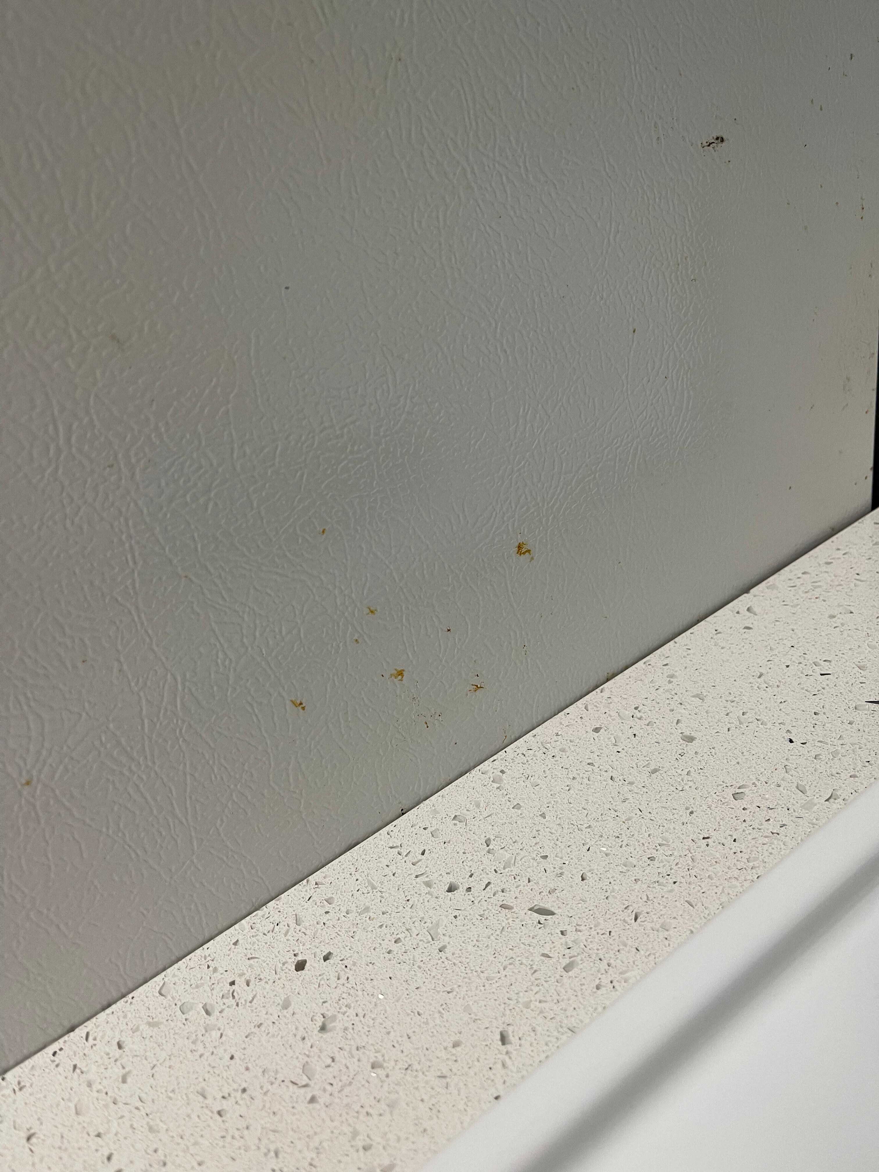 Food splatter on refrigerator from a previous guest