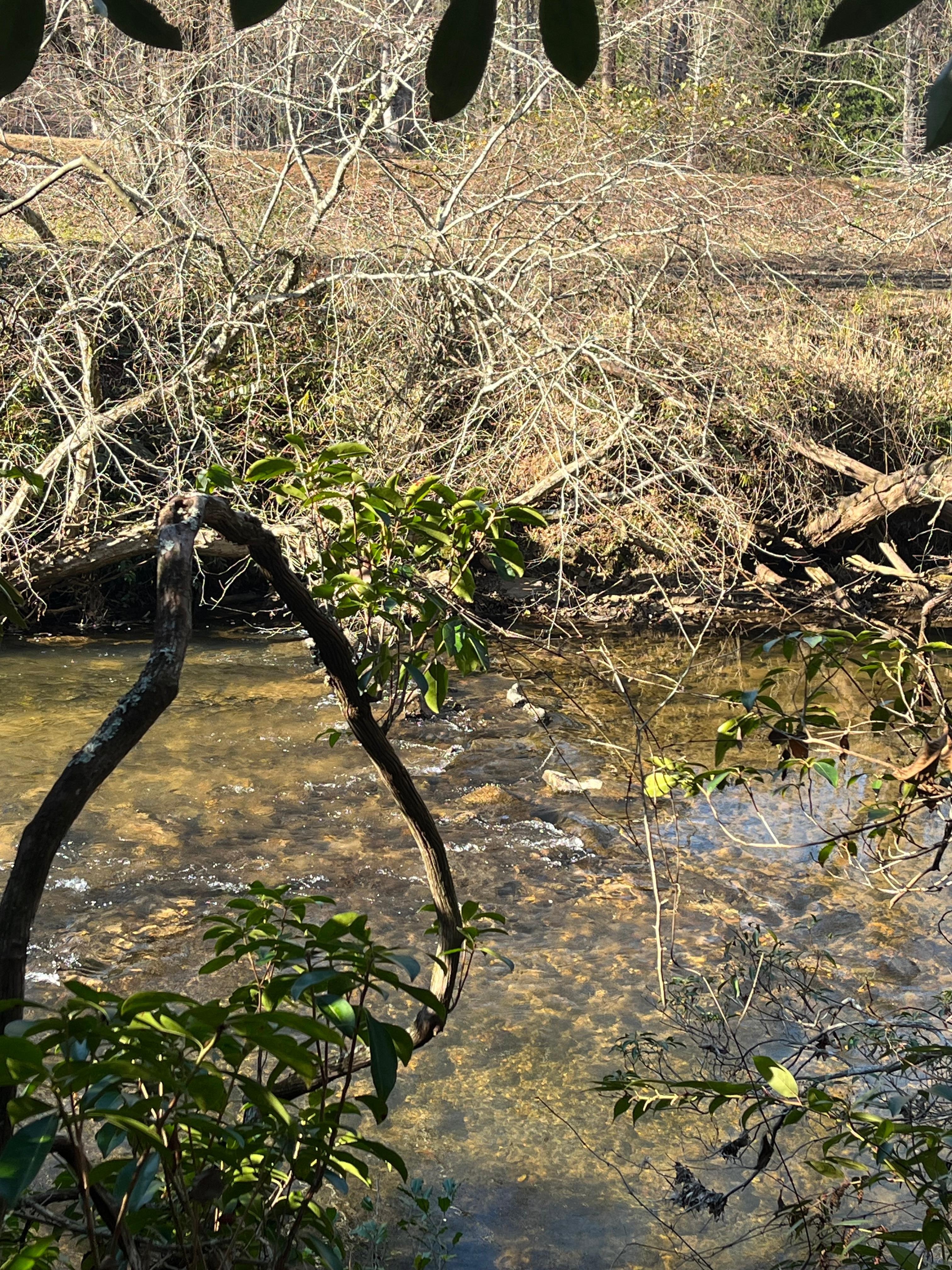 Chestatee River behind the house
