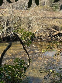 Chestatee River behind the house