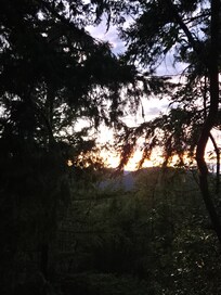 View from the patio at sunset